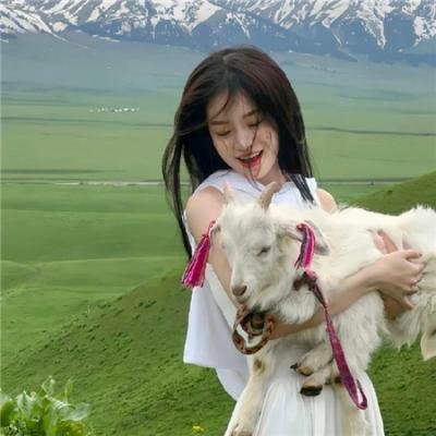 焦点新闻 在线观看